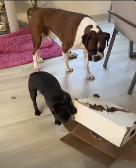 This is what recycling day looks like !